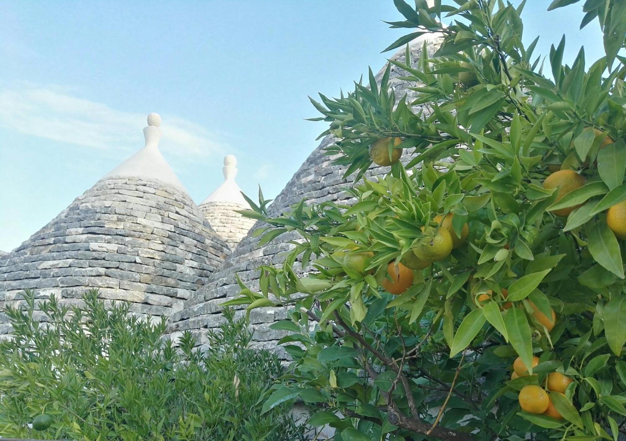 Готель Trulli Sull'Aia San Michele Монополі Екстер'єр фото